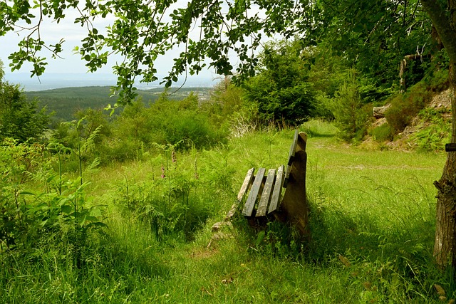 力较弱的问 力较弱的问