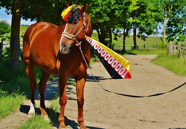 队的竞争力 队的竞争力