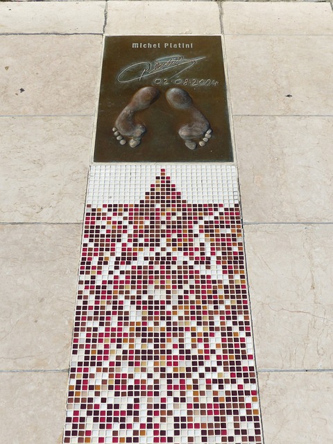 性和主动性 性和主动性