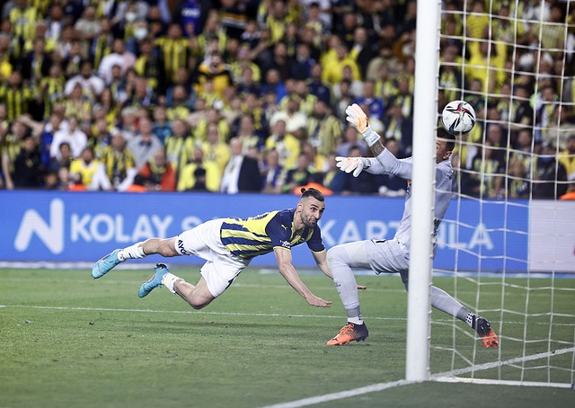 全队上下都 全队上下都