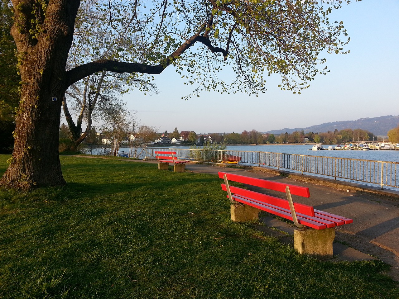 相信他也能 相信他也能